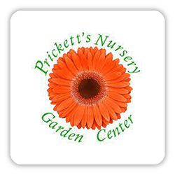 Prickett's Nursery 